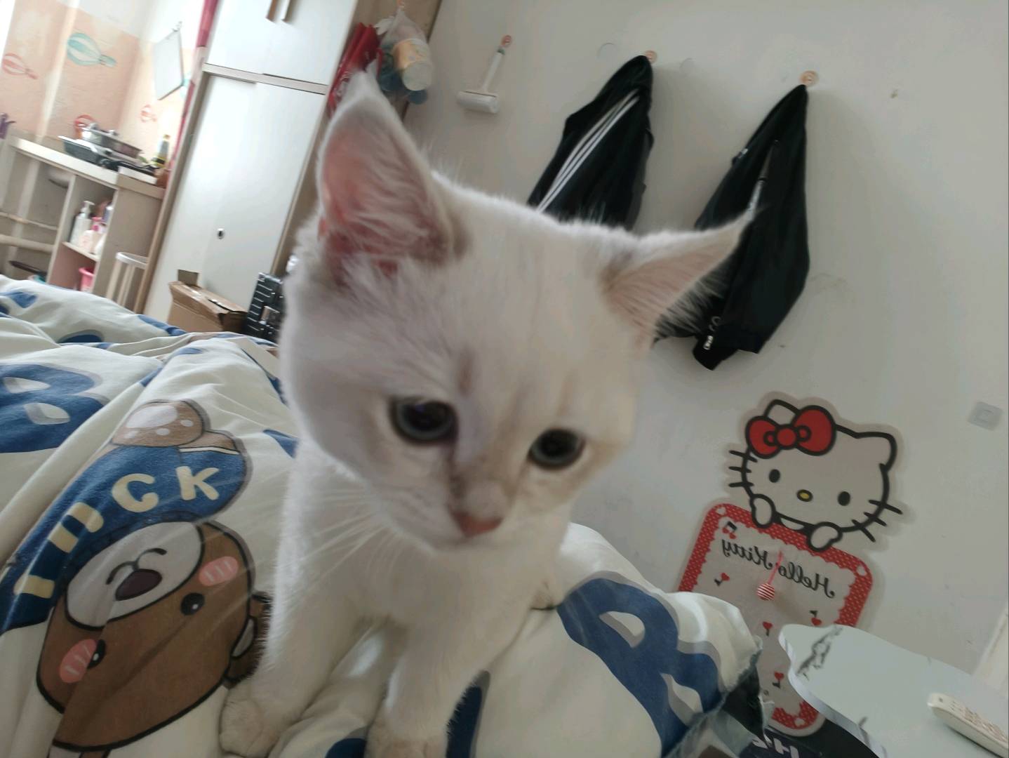 闲置详情